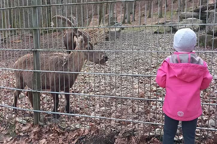 FED_Wildgehege Familienentlasender Dienst Kinder im Wildgehege